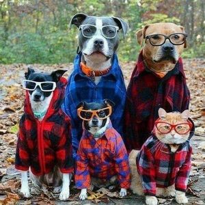 Meet your Posher, Martha